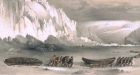 Parks Canada offered role in search for Franklin ships