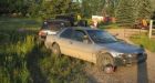Good Samaritans foil Alberta abduction