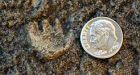 Ancient mammal tracks found at national monument