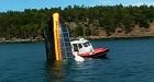 Whale-watchers survive boat sinking
