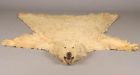 U.S. effort to nix polar bear trade angers Inuit