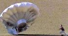Couple hoped balloon hoax would land TV show: police