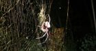 Arachnophobics beware: Researchers find giant spider