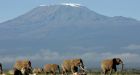 Snow cap disappearing from Mount Kilimanjaro