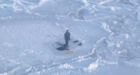 Nunavut teen rescued from ice floe