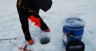Frigid Antarctica is loaded with viruses