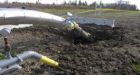 'Encana bomber' has quit: locals