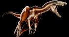 New fossils shed light on evolution of dinosaurs