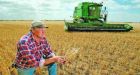 Cdn farmers suggest local food initiatives as way to fight climate change