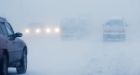 Too much winter for winter survival workshop