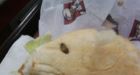 Kentucky Fried ... cockroach?