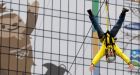 Free fun resumes during Paralympics