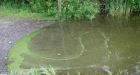Concerns grow for our lakes