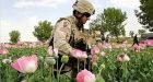 Afghan opium seizures soared 924 per cent in 2009