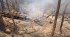 Forest fire season starts early in B.C.