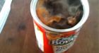 Dead rodent found in canned spaghetti