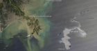 U.S. approves 'controlled burn' to stem oil disaster