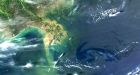 Massive oil slick reaches Louisiana coast