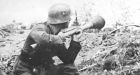 German pigs find World War II anti-tank weapon when digging for food