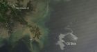 Oil spill possibly much worse than thought