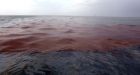 Future uncertain for Gulf Coast residents after oil spill