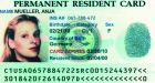 Lincoln Students Face Suspension for Letting Green Cards Fly