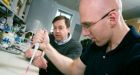 Breakthrough U of A study finds potential cancer drug