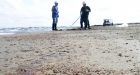 Florida tests inventors' sand-cleaning ideas