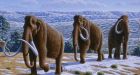 Woolly mammoth hunters helped change climate