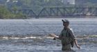 Ottawa River lowest in decades