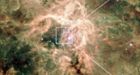 Astrophysicists find most massive star ever