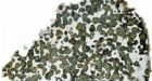 Slice of meteorite could hold Earth's secrets