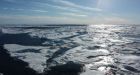 Ice-free Arctic unlikely to sink much CO2