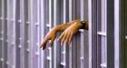 Tories roll out first stage of prison plan