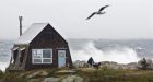 Earl leaves tens of thousands without power in N.S.