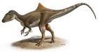 Odd hump found on back of meat-eating dinosaur from Spain