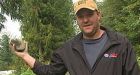 B.C. logger stuns bear with rock
