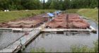 500,000 fish die near tanker spill