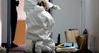 Giant flies alerted neighbours to rotting body