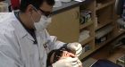 New device may eliminate surgery for cleft palates