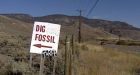 Scientists say B.C.'s fossil treasures are plundered
