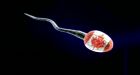 Woman's suit seeking info on sperm donor can proceed