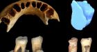 Early date for Chinese human fossils