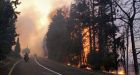 Israel forest fire blamed on negligence