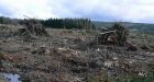 Astrophysicist launches idea for spaceport on Vancouver Island clear-cut