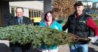 Military families get free Christmas trees