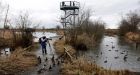 B.C. bird watchers find views at Reifel Bird Sanctuary