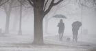 New Year's Day in Toronto could be warmest yet