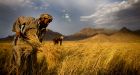 Record-high food prices could go higher, UN warns