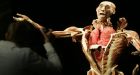 Seize bodies from exhibit, lawyer urges